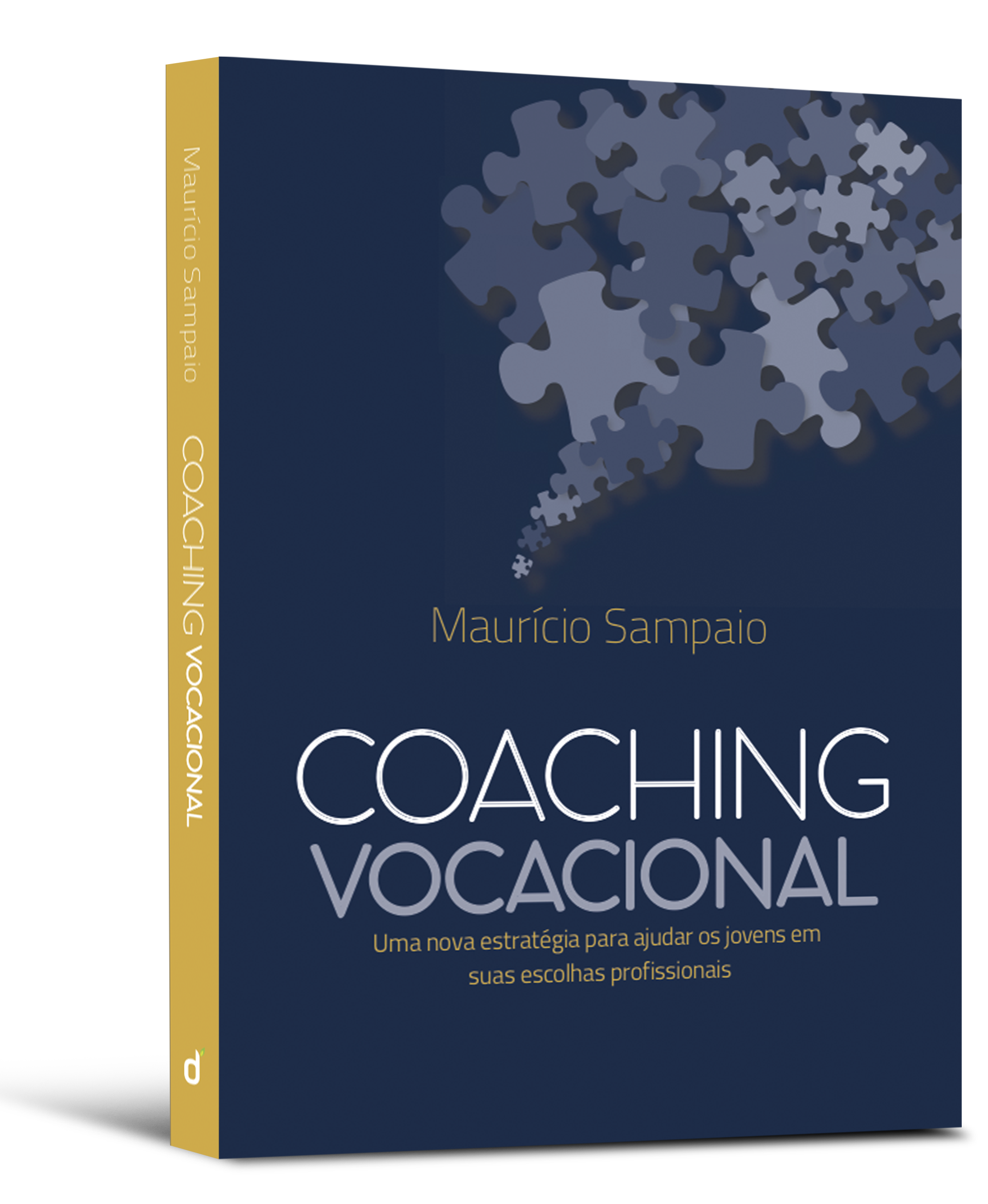Coaching Vocacional - uma nova estratégia para ajudar  os jovens em suas escolhas profissionais